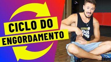 📌 O Ciclo do "Engordamento" | Grupo Q48